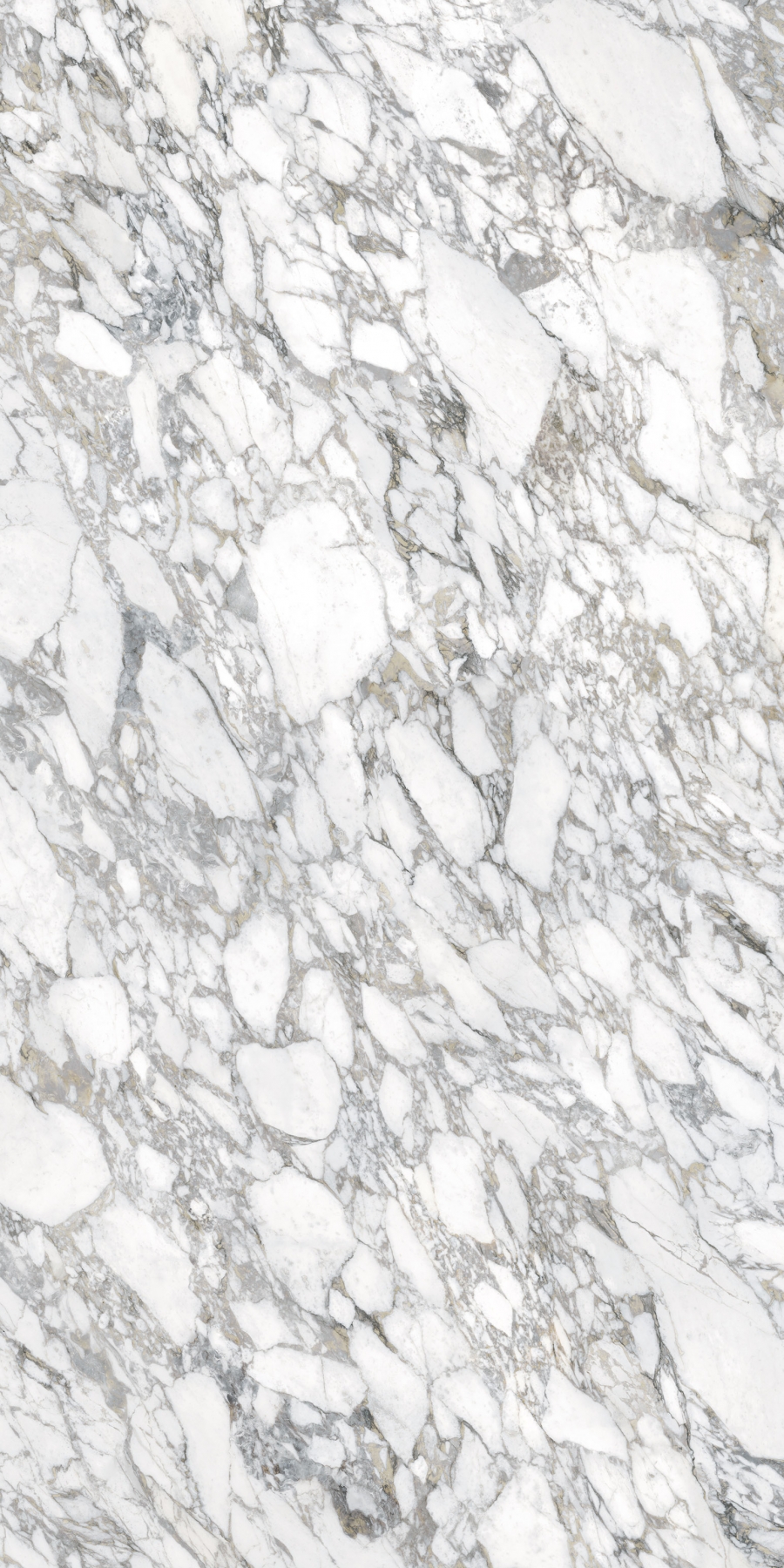 Bianco Vagli FullVein
